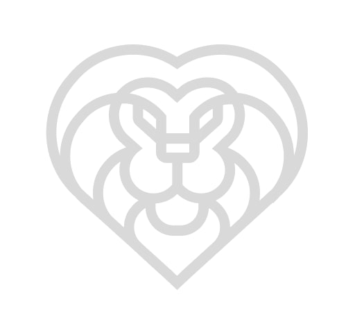 Марки автомобилей